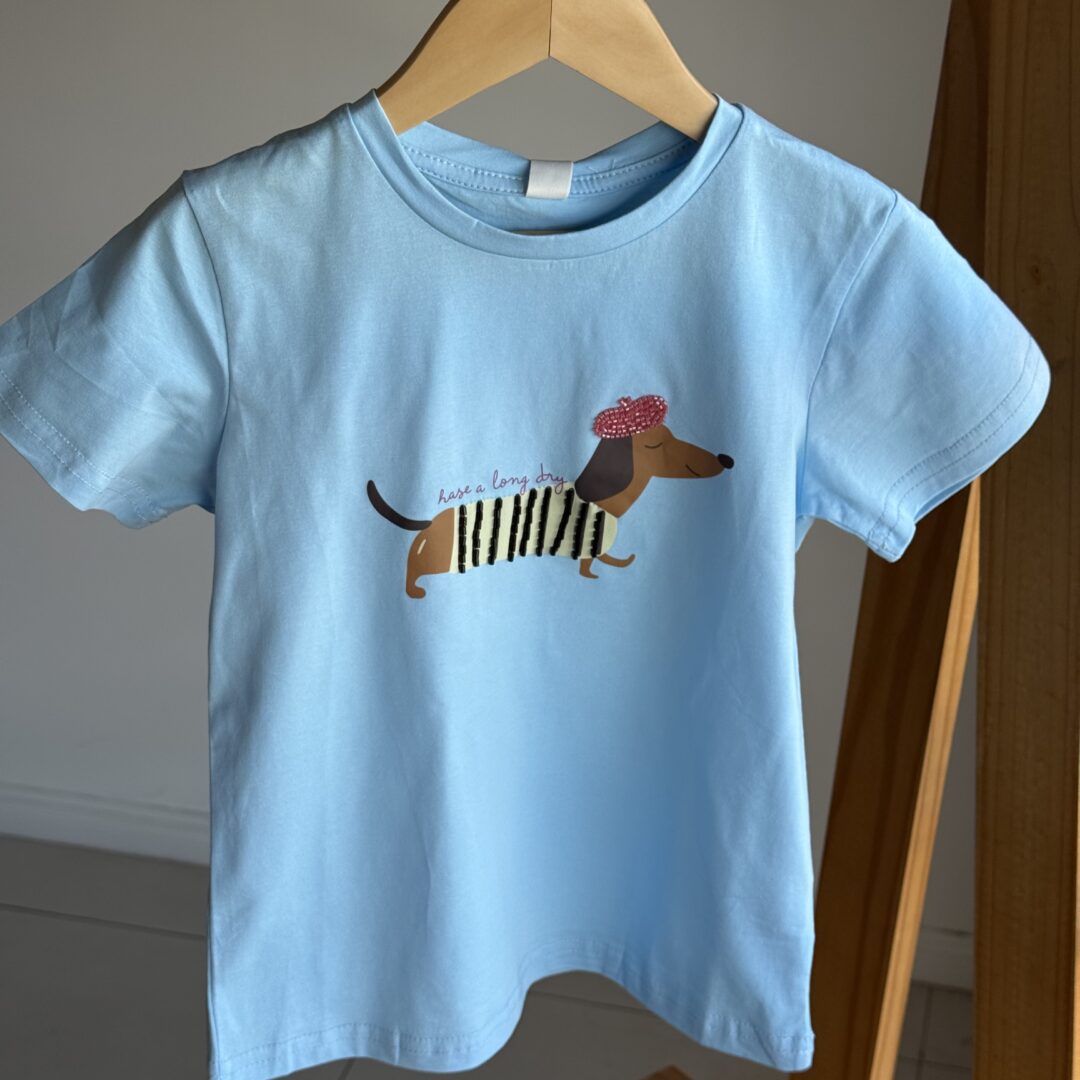 REMERA SALCHICHA CELESTE . LINEA IMPORTADA