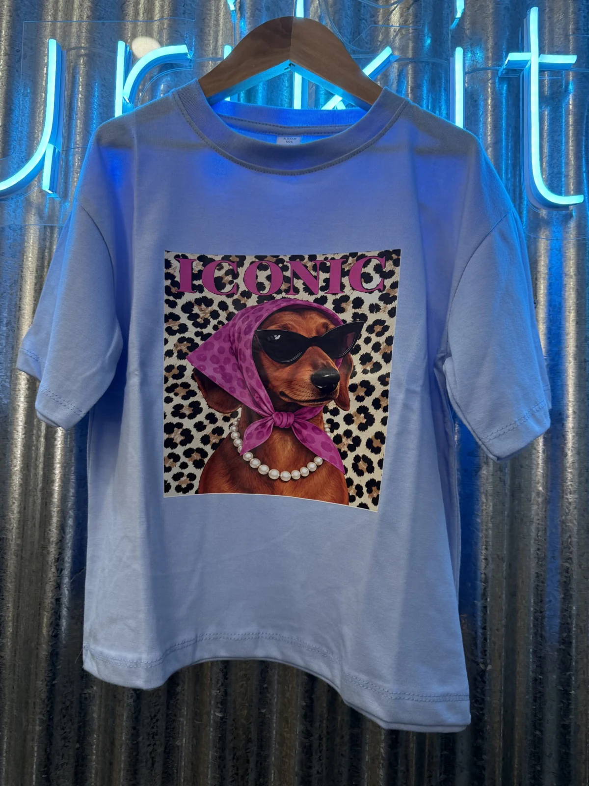 REMERA PERRITO GAFAS CELESTE